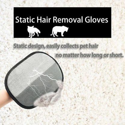 Pet Hair Remover Glove